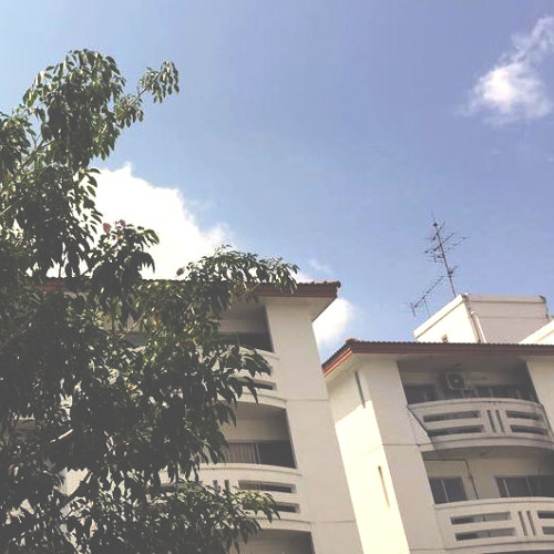 06.21 pm feat. birds