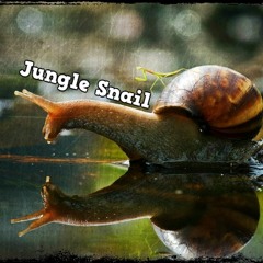 iDi-OD - Jungle Snail (demo)
