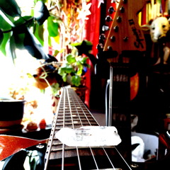 SCENE BREEDING (AKA Shiremoon is Full Today!) 27.2.2015