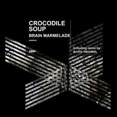 Crocodile Soup - Gatta Da Pelare (Original Mix)