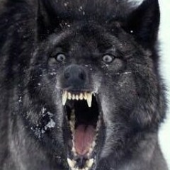 Murder 1-Double R ft. Sir Vixe at Plymouth, NC