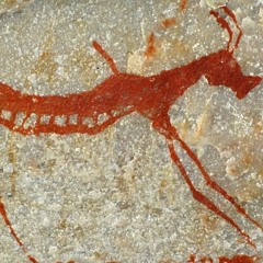 bushtech - donkievet