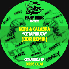 Nori & Calabra - Cetapiruca (DDR Remix)