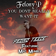 "You Don't Really Want It" Felony P Featuring Mac Mumble (PROMO ONLY)