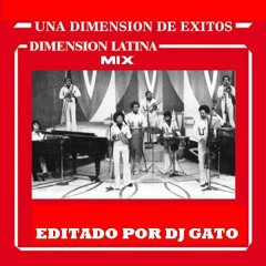 DIMENSION LATINA MIX