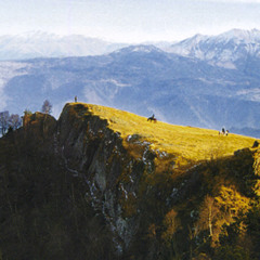 chamane