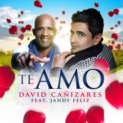 Te Amo - David Cañizares Feat. Jandy Feliz (Pauteada)