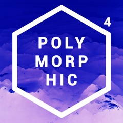 Polymorphic - Future Techno podcast #4