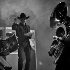 Bostich Nortec Roots
