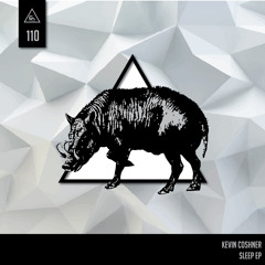 Kevin Coshner - What Began As (Original Mix)
