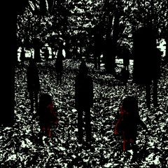 The Horse Behind Me Plaited My Mane