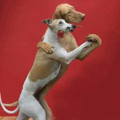 92. Tu Cuerpo Me Arrebata - Trebol Clan Ft J Alvarez - In Aca I [Dj Midavar]