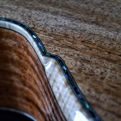 "Dancing leaves" acoustic guitar original