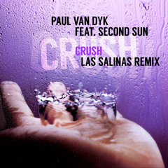 Paul Van Dyk - Crush (feat Second Sun - Las Salinas Remix Edit)