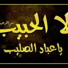 قرآن كريم
