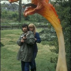 The Day Of The Triffids (BBC 1981) Theme