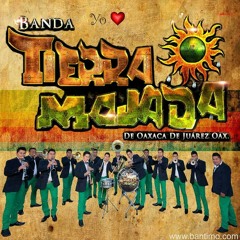 Banda Tierra  Mojada ~Un Millón De Primaveras
