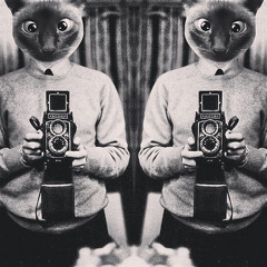 made this with my tail