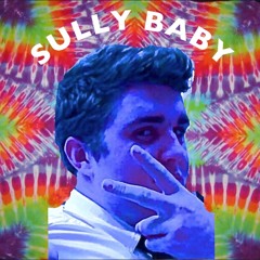 Sully Babyy