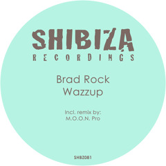 Brad Rock - Wazzup (M.O.O.N. Pro Remix)