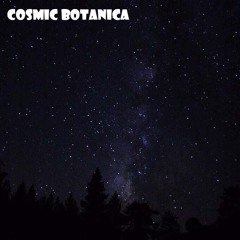 Cosmic Botanica Dub Selector Cosmic Instrumental ReMix