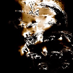 ...and the mid size sedan obliterated the white picket fence