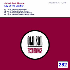 Official remixes
