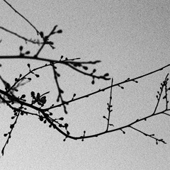 Fonky D & Thibaut Zonca - Le Destin