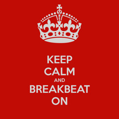 Terminate (Dj Tortu Breaks Mix) BreakBeat 2013