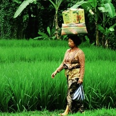 Quinta Essenza (Armando Lôbo) - performed by Laboratorio Creativo Permanente