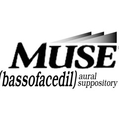 Anamorphic - Live PA at Muse 10/18/1997