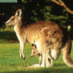 Tracks of the Month - February 2015