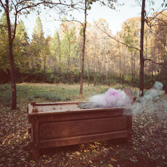 The Swan Is Ecstasy (SUBTITLE aka GIOVANI MARKS  REMIX)