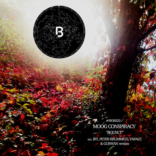 Moog Consipracy - Bouncy (Original Mix) [bor025]