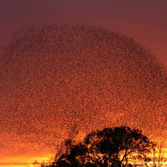 Roasted Sounds March 2015 Mix_Feeling Good