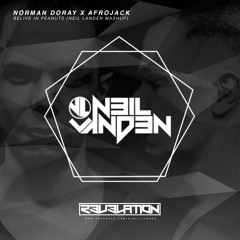 Norman Doray x Afrojack - Belive in Peanuts (Neil Landen Mashup)