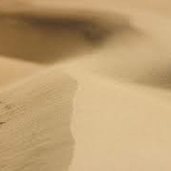 Dust in the Wind (Cover)