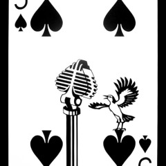 5 (2016)