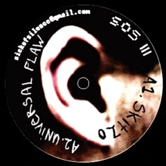 SoS 111 A1 Skitzo