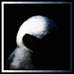 Lazy Busy - Balade Nocturne (unmastered)
