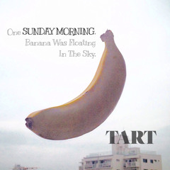SUNDAY MORNING (tribute to Velvet Underground)