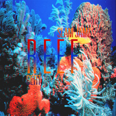 R E E F | Oceanlife | #OceanDelta | @CERT @SlamJamz