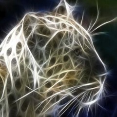 The Jaguar Spirit