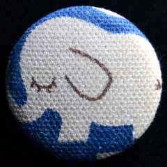 While Elephants Sleep