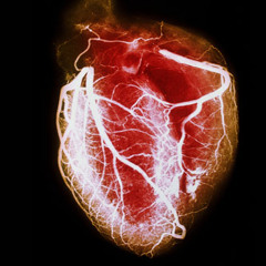 S.I.G.N Ft. Rose Marie - HeartSong Remix