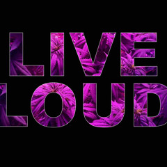 No Flex Zone (Kushmix) - Kush Gang (Jerz & Young E)