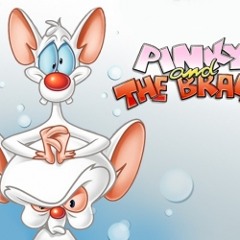 Pinky And The Brain Theme Remix