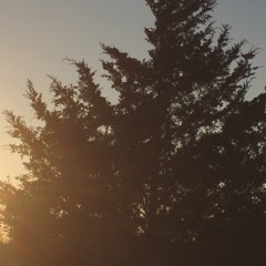 False Ass - Jordan Player (Prod. by ApolloXXII) (2014)