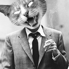 i like you because you feed me