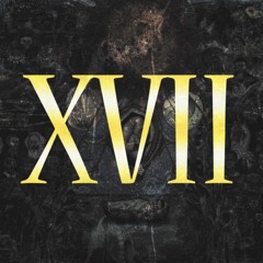 XVII- If You're Reading This You Are Literate